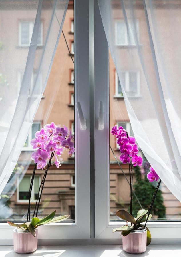 Blekitny Apartament 比托姆 外观 照片